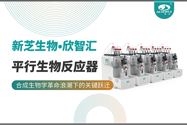 培養(yǎng)菌株和評(píng)估工藝參數(shù)影響太難太慢？平行生物反應(yīng)器提供關(guān)鍵解決方案！