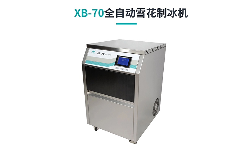 全自動雪花制冰機(jī)